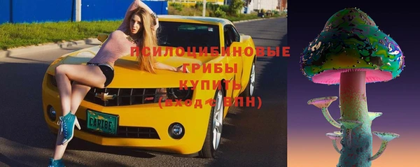 соль ск Алзамай