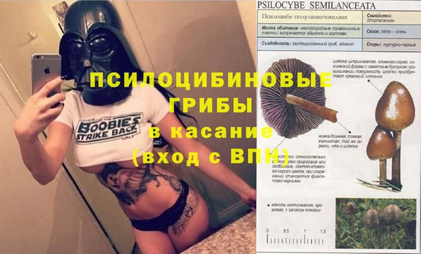 мет Алексеевка
