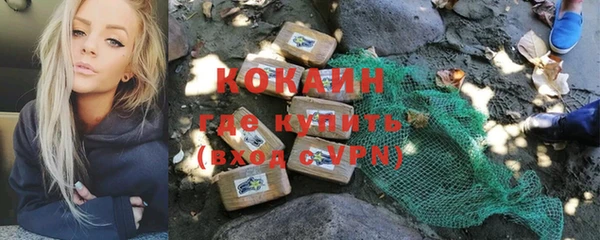 соль ск Алзамай