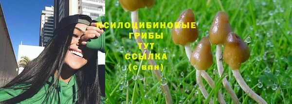 соль ск Алзамай