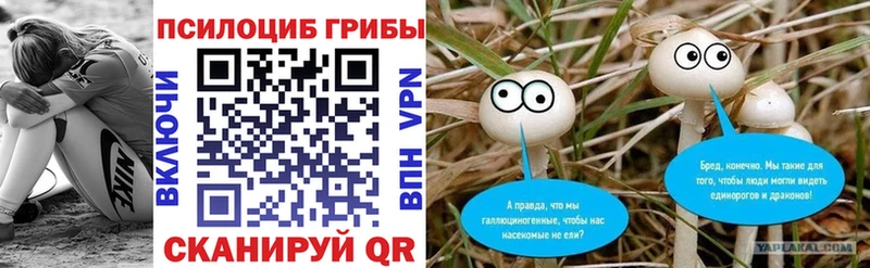 закладки  мега ТОР  Псилоцибиновые грибы Magic Shrooms  Ярцево 